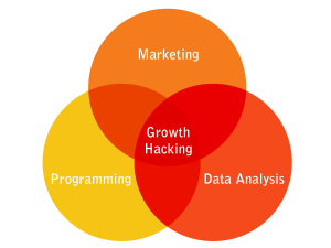 Growth-Hacking-Digital-Market